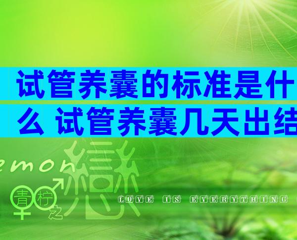 试管养囊的标准是什么 试管养囊几天出结果